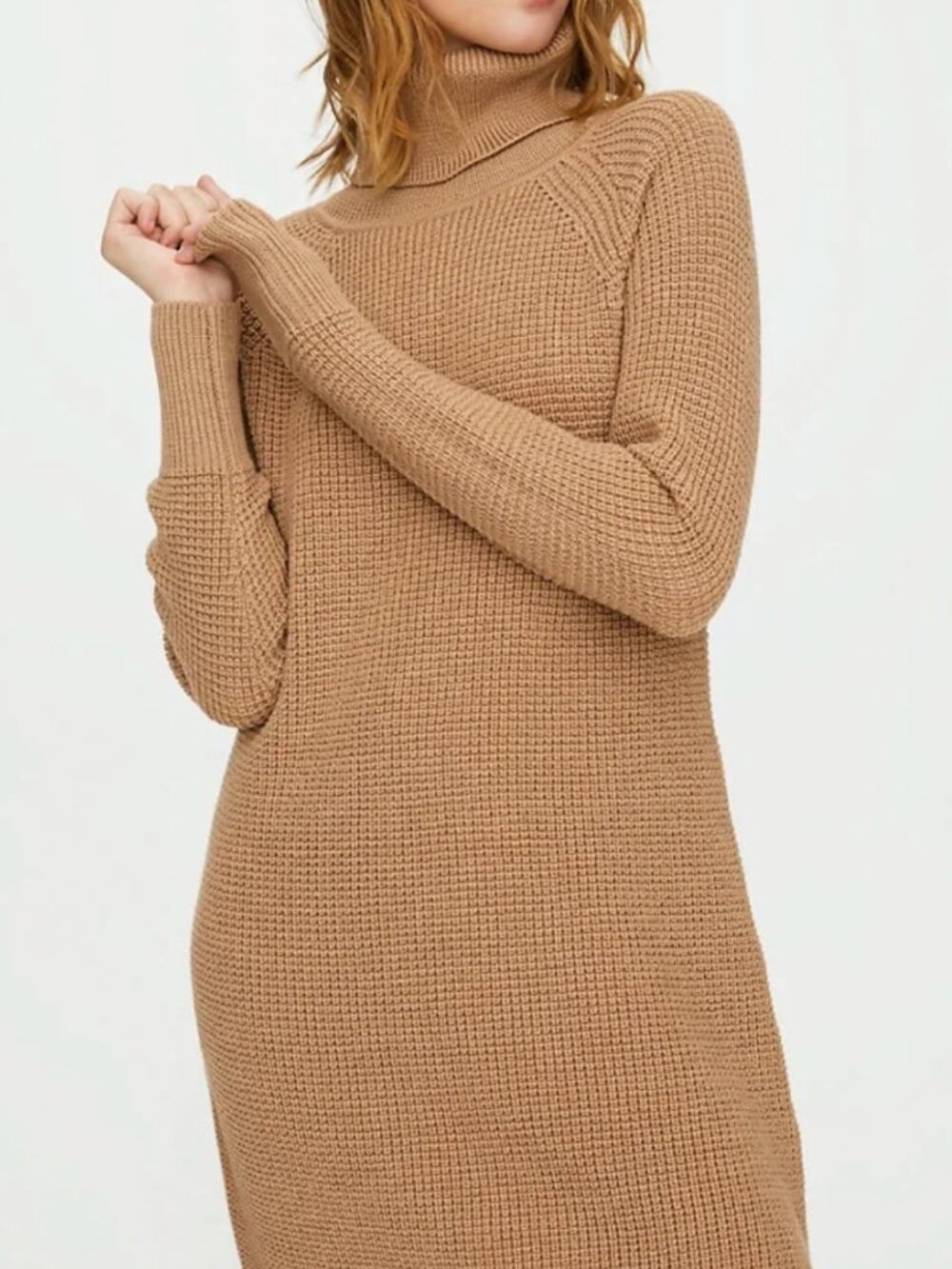 Wilfred Free Bianca Dress